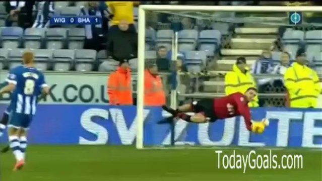Wigan Athletic 0-1 Brighton & Hove Albion Highlights 23.11.2013 - TodayGoals.com