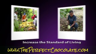 Ethically Traded, Pesticide Free, Sustainable Chocolate