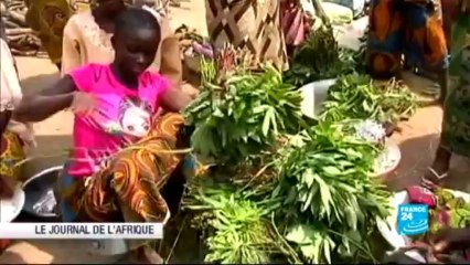 JOURNAL DE L’AFRIQUE - Soulagement après un scrutin dans le calme au Mali