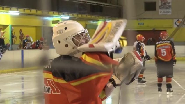 Comètes de Meudon vs Elans de Champigny, 23/11//2013