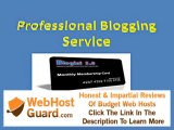 Professional Blog Hosting