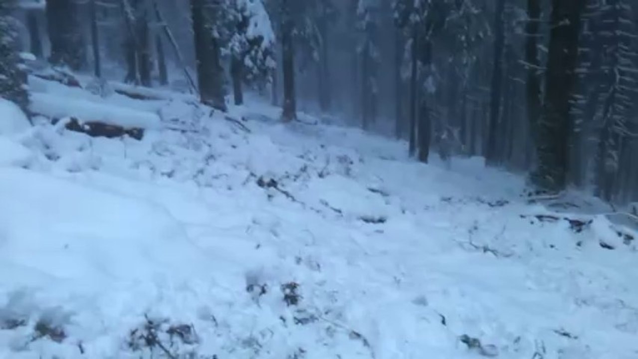 Dans la neige des Vosges (Zone naturelle de Langenfeldkoft)