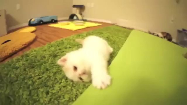 MUA TIVI CŨ ĐÃ QUA SỬ DỤNG GIÁ CAO ĐT 0989802706