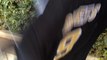 *Caps-Sell.org/ *Reebok NFL Jerseys New Orleans Saints 9 Drew Brees Black KIDS