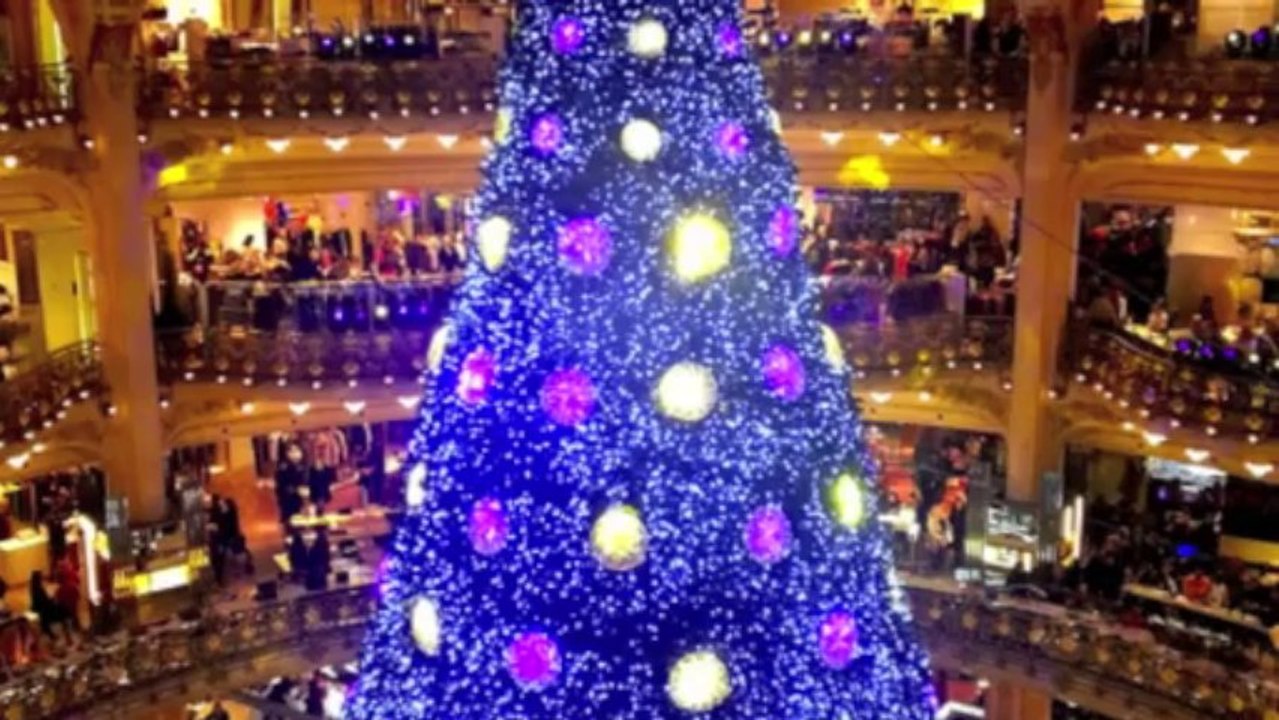 Fleuriste Avignon Déco, cadeaux, compositions florales Noël