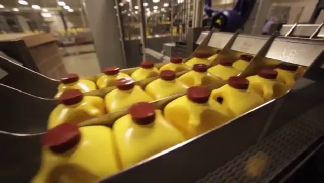 Производство сока Алоэ Вера видео тур по заводу Алоэ Вера оф Америка_2