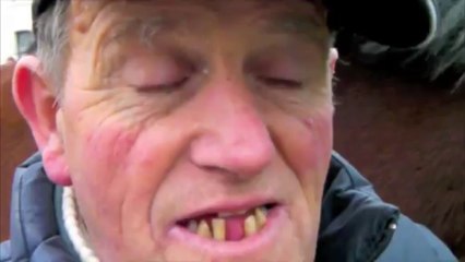 Le Trait du Nord, un cheval en péril