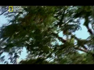 HD وثائقي - ظواهر خارقة للطبيعة- تشوباكراباس