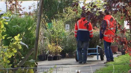 Le compostage, une démarche en faveur du développement durable