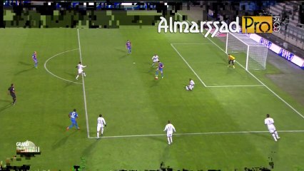 But Faycel FAJR 25-11-2013