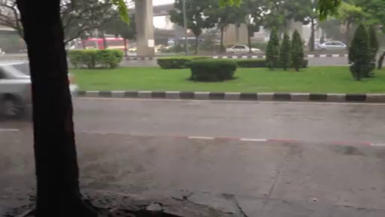 The Rain >_