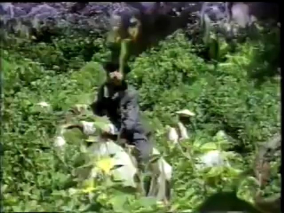 Dona Beija, fim do cap. 55 e a maior parte do cap. 56 em português