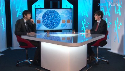 David Targy, Xerfi Canal La crise de la télévision