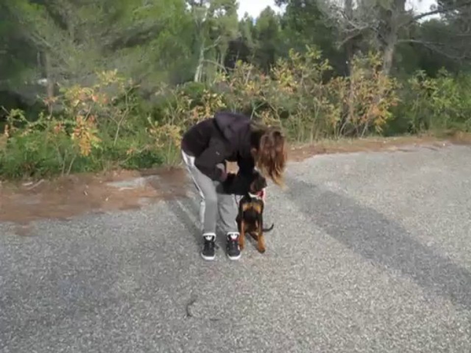 Dressage canin comportementaliste la ciotat,Charline et Izia, éducation de base, belle complicité