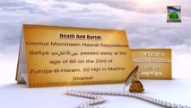 Documentary - Blessings Of Ummul Momineen Safiya