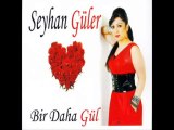 Seyhan Güler -Gelinoy 2011