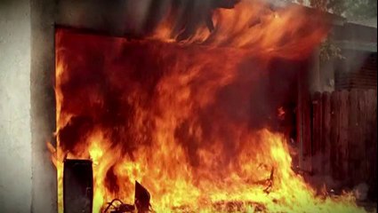 Shampignon - Brûle, Brûle Et Brûle