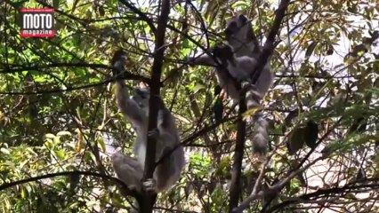 Madagascar, à la découverte des plus belles pistes avec Moto Magazine !