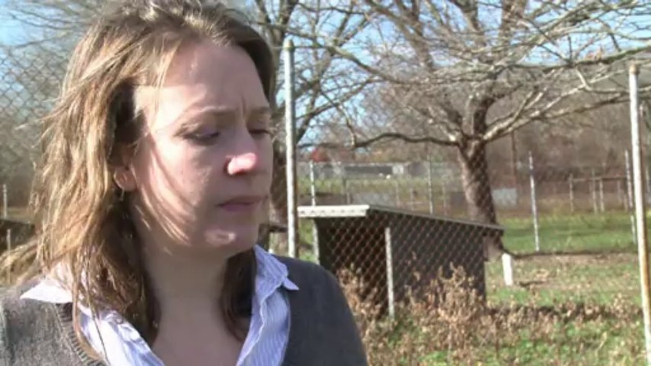 Keeping the rare US whooping cranes alive