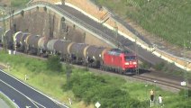 Züge und Schiffe Bopparder Hamm,DB 203,152,101,SBB Re421, DB 185,Railion 185,Alpha Trains 185, 460
