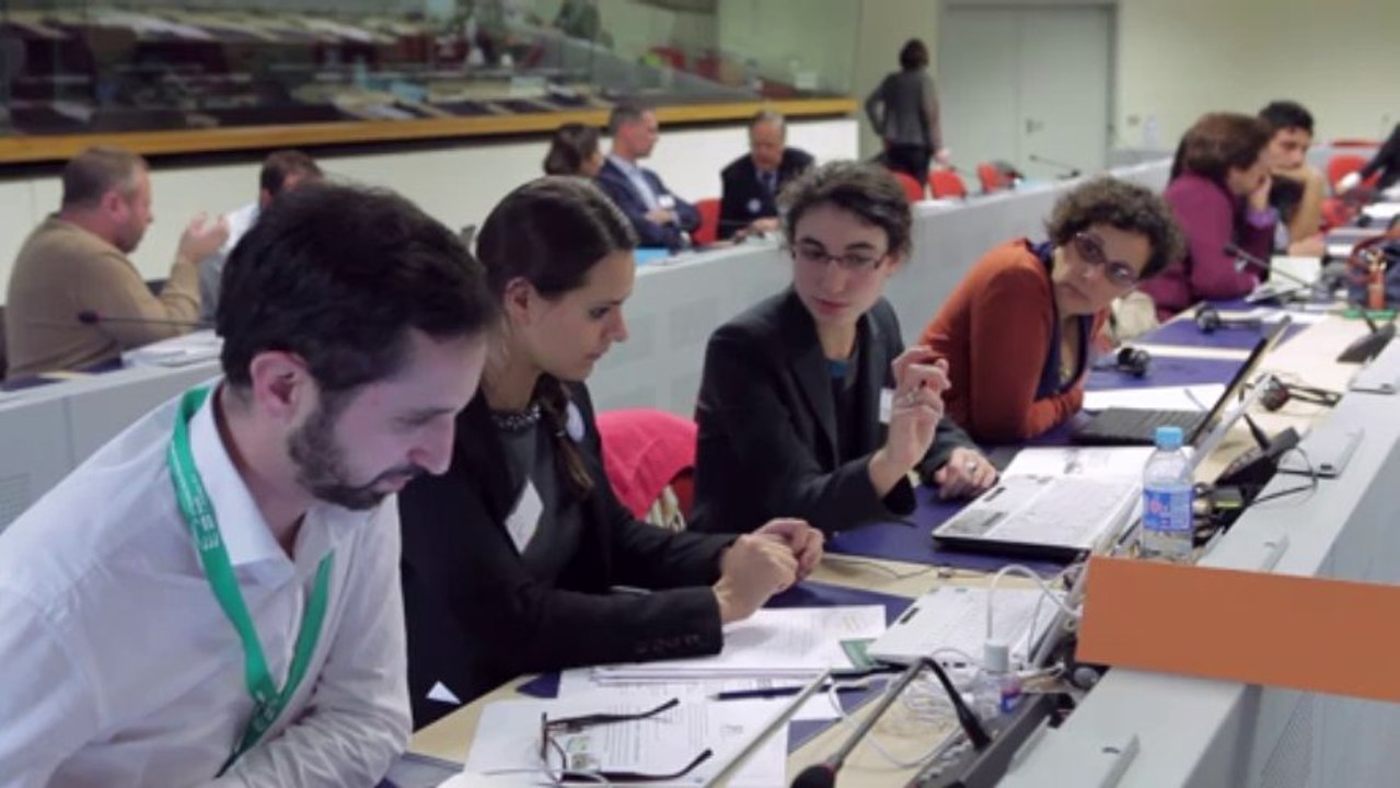 The RFSC Conference 2013: Towards a European model of a sustainable city