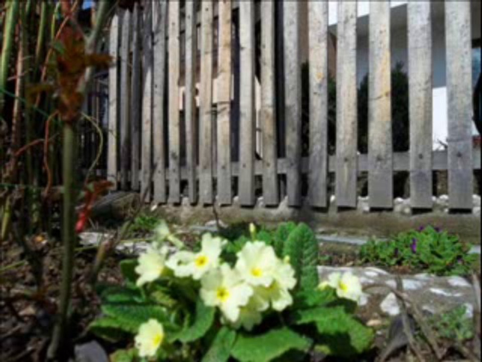 Branko Ćopić - Dane Drmogaća, Slijepi konj