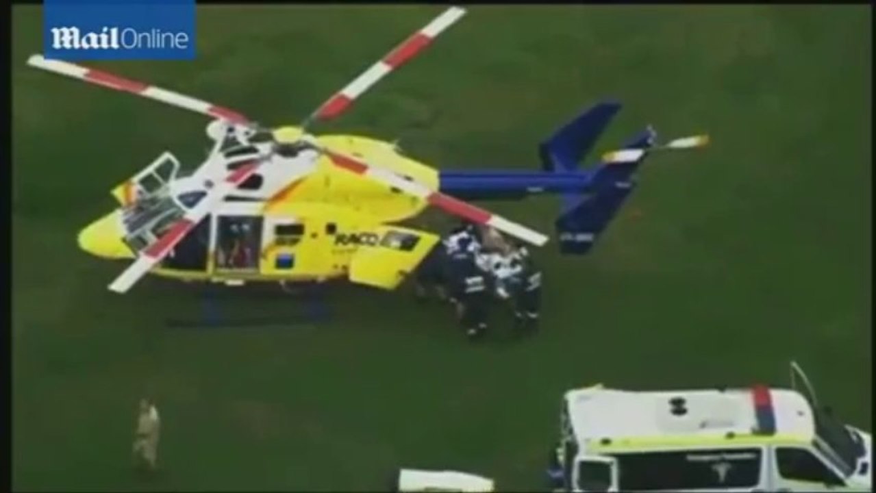 Moment tiger attacks trainer at Australian Zoo caught on cam