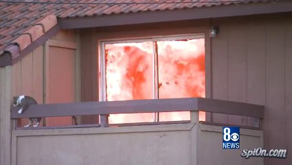 Chat s'échappe d'une maison en feu