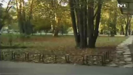 Hotel sa sedam zvezdica E05