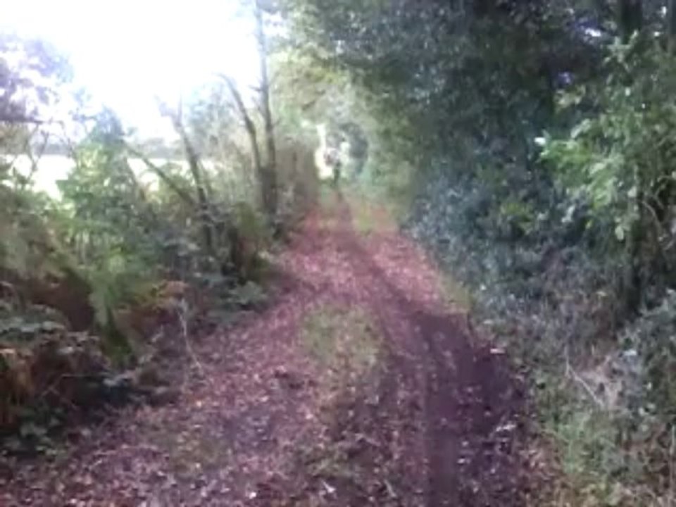 enduro en ycf rockstar ;)