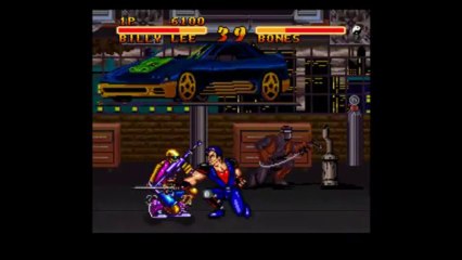 Double Dragon V : The Shadow Falls
