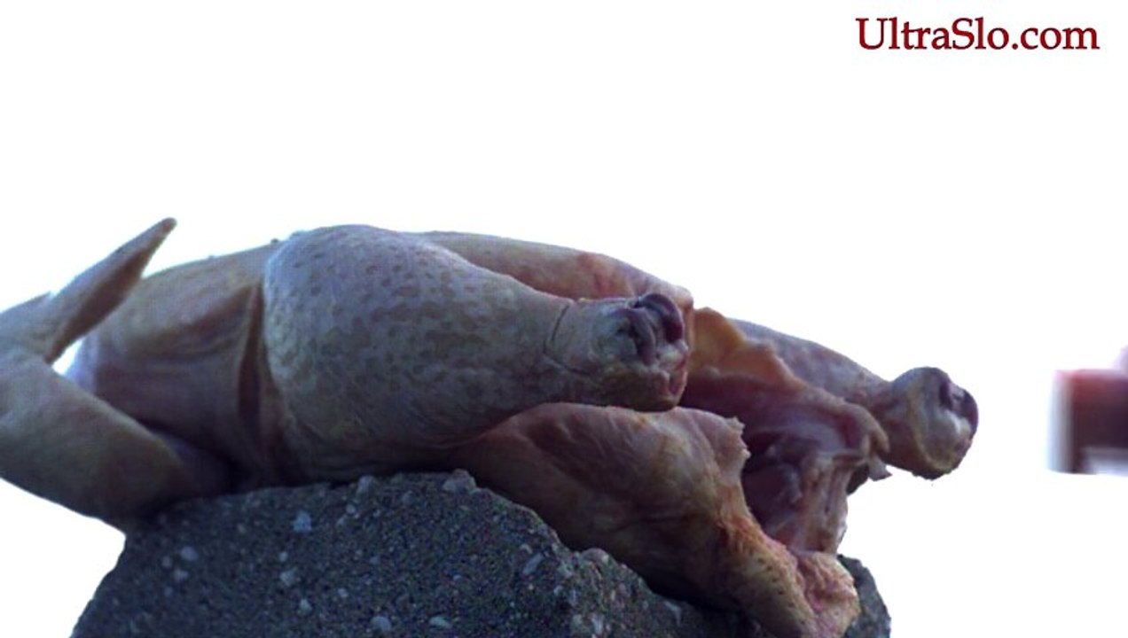 A Fast Turkey stuffing in slow motion