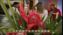 2013-11-26 2200hrs MediaCorp Channel 8 News (Tuesday)