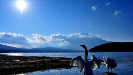 Pink Floyd - Goodbye Blue Sky Nacho Varela Remix