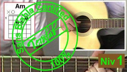 3 p'tits chats - Adibou [Tuto guitare] by Terafab