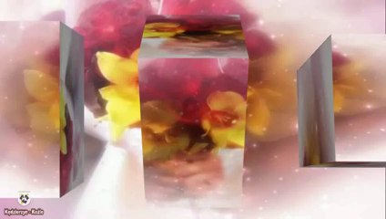 Helena Blagne - Moj dom & Sveta Marija®