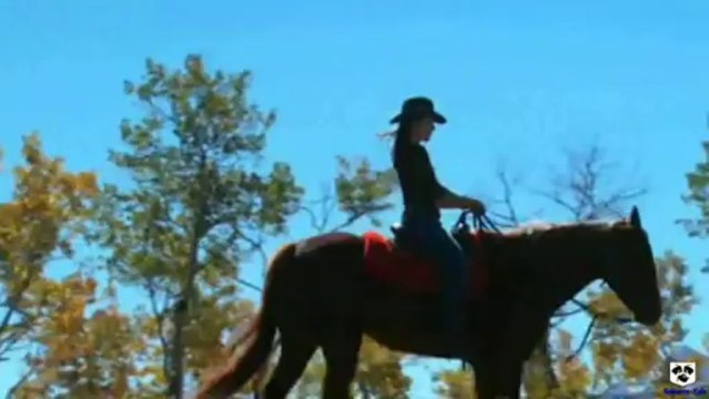 Gang Marcela - Piękne życie spędzają kowboje®