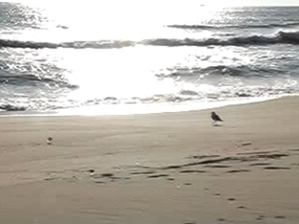 Sittin on a dock of the bay