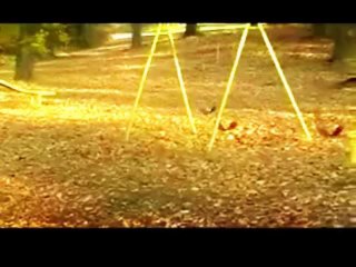 outled - some  name (2011)