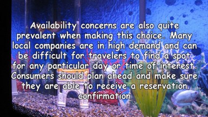 Deciding From Branson Fishing Guides