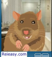 what is a mortgage broker