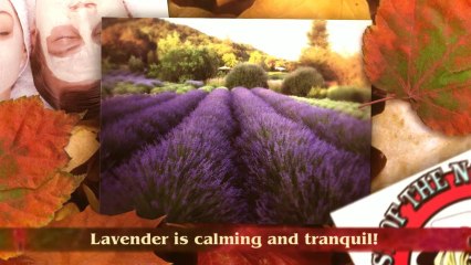 Lavender Hill Spa-Facial-Middletown, CA