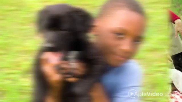 Village Square Apartments in Port Richey, FL - ForRent.com