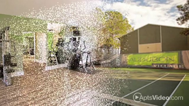 Audubon Village Apartments in Tampa, FL - ForRent.com