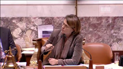 LOI DE PROGRAMMATION MILITAIRE 2014-2019 (suite) - Mardi 26 Novembre 2013