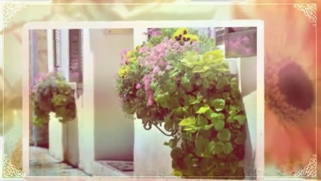 Scapes Incorporated (972) 525-0554