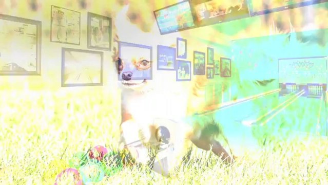 Spring Water Apartments in Virginia Beach, VA - ForRent.com