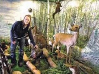 Appu Ghar Night Safari~~9990114352~Gurgaon