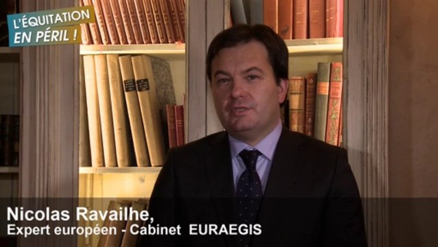 L'Equitation en péril - Actualités TVA