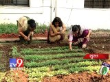 Suratis pushes green thumb rule to beat high veggie prices - Tv9 Gujarat